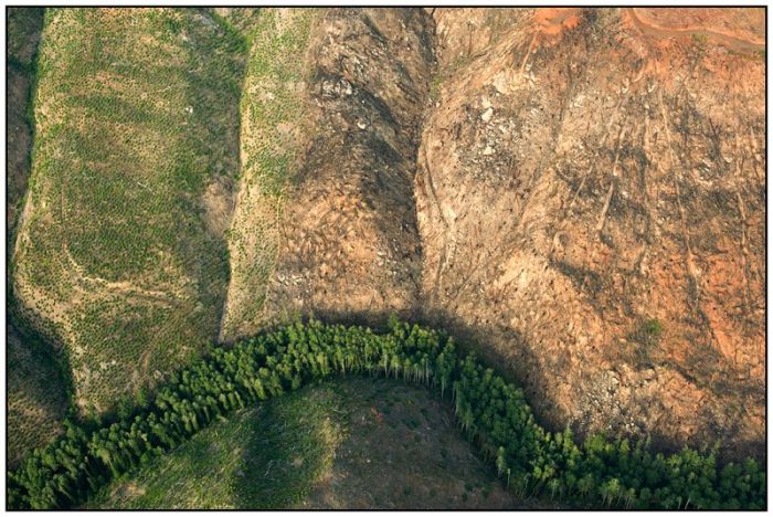 riparian_portlandtribune